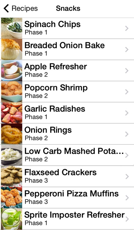 101+ HCG Diet Recipes - Tips, Food Checker, and More