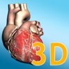 Explore the Heart in 3d
