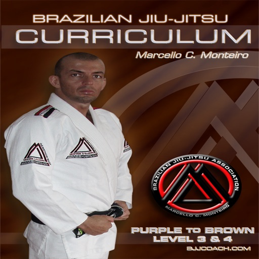 BJJ Purple to Brown Lvl.3&4 Curriculum Step-by-Step Jiu Jitsu System icon