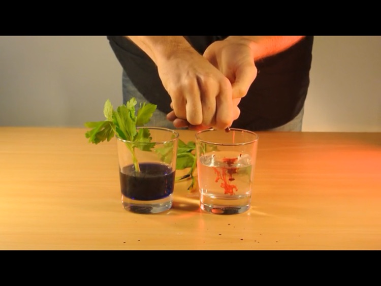 Small Experiments HD - Experiments for kids to do at home