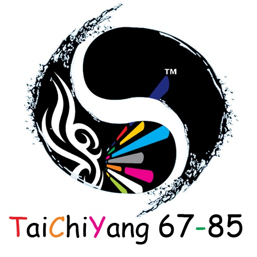 TaiChiYang6785 icon