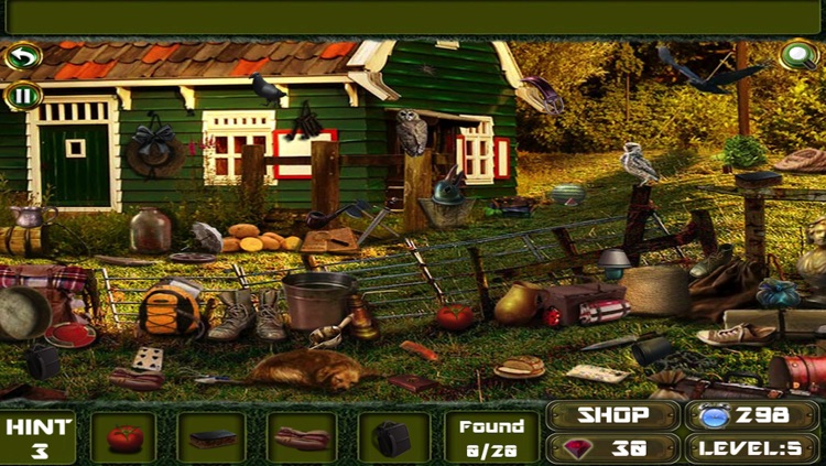 Hidden Objects in Garden screenshot-4