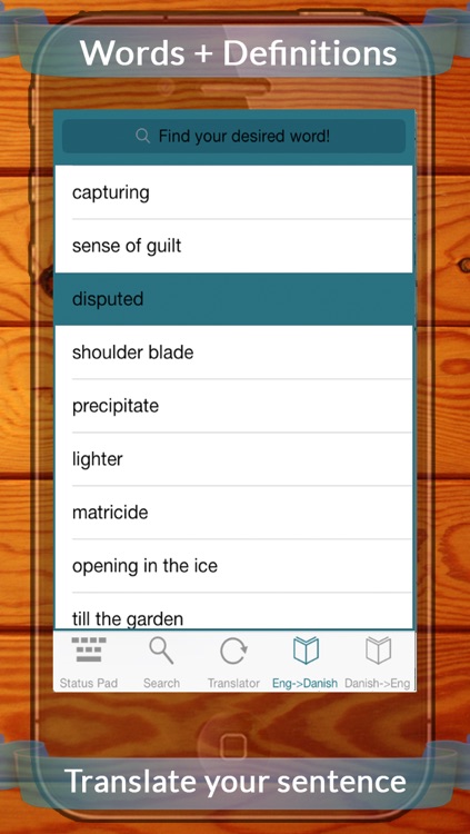 Danish Eng Dictionary (English to Danish & Danish to English)