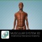 * A free 3D educational guide to the human skeletal and muscular anatomy featuring an advanced interactive 3D touch interface
