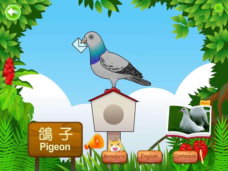 Birds for Kids HD - FREE Game