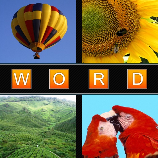 Word in 4 Pictures iOS App