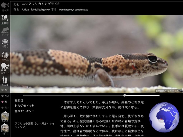 Reptile Life for Japan FREE(圖5)-速報App