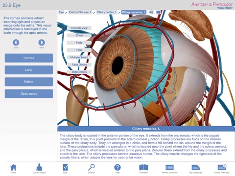 Anatomy & Physiology for Springer (Anatomie & fysiologie voor Springer) screenshot 2