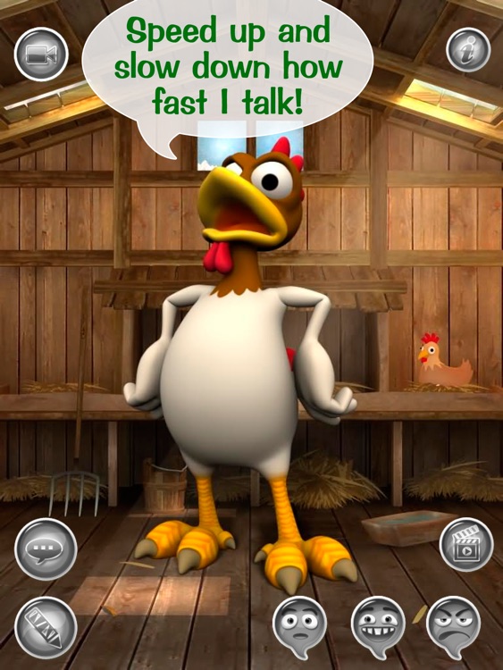 Hello Talky Chip! HD FREE - The Talking Chicken screenshot-3