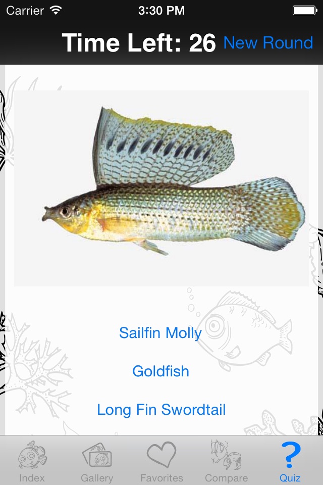 My Favorite Freshwater Fish screenshot 4
