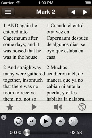 Holy Bible: 27 Languages Side by Side! screenshot 2