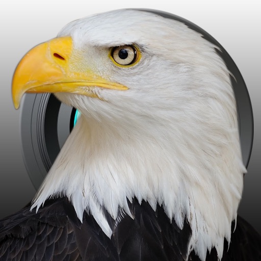American Eagle Flight Booth iOS App