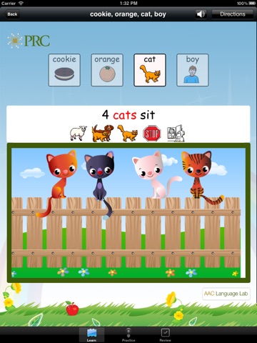 Language Lab: Plurals screenshot 4