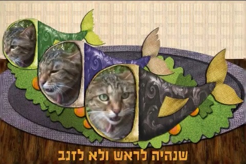 שיר אותי - חנוכה screenshot 3