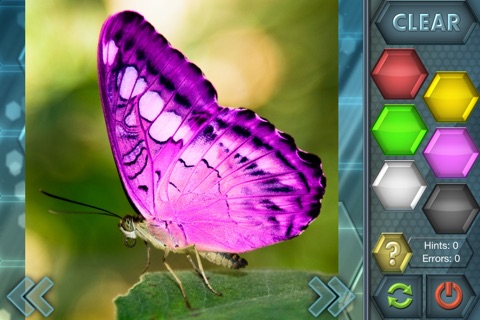 HexLogic - Butterflies screenshot 4
