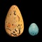 This little app is an introduction to the fascinating world of bird's eggs