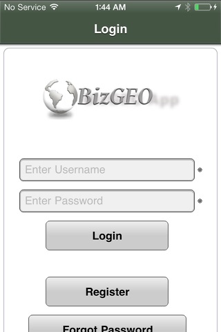 BizGEO screenshot 2