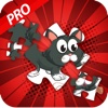 Canine Sidekick Pro - Bashful Puzzles of Your Beloved and Bums