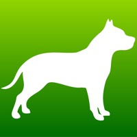 Pit Bull Quiz  PC 용