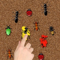 Bug Smasher Game Lite