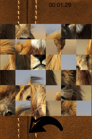 PuzzleMania - Safari Pics screenshot 2