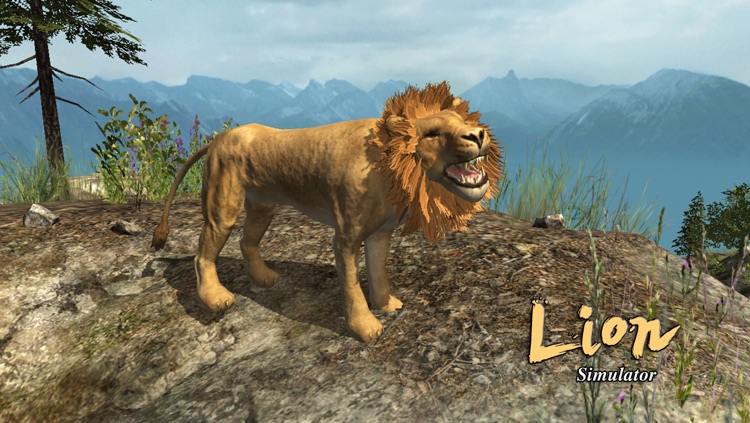 Lion Simulator
