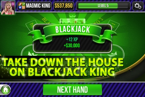 Blackjack King screenshot 3