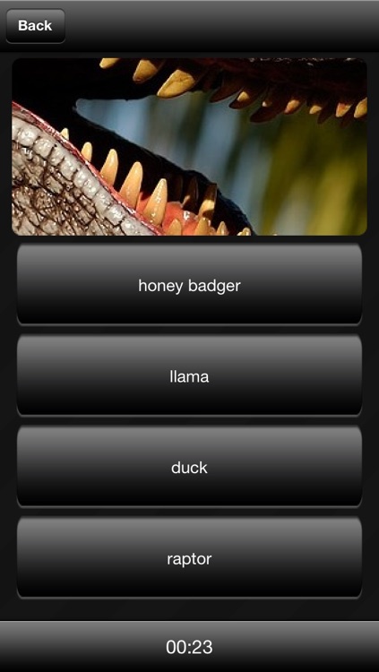 Llama or Duck or Honey Badger or Raptor? screenshot-3