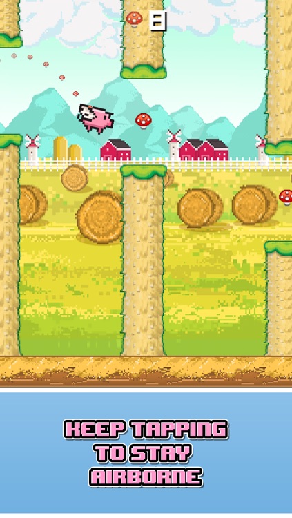 When Pigs Fly - Cute Pet Pig Flapper Adventure