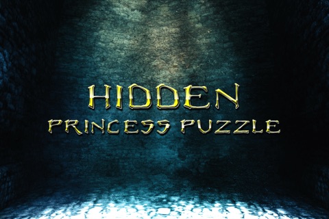 Hidden Princess Puzzle Pro - new brain workout game screenshot 4