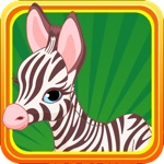 Baby Zebra Dash  Running With Little Zoo Buddies