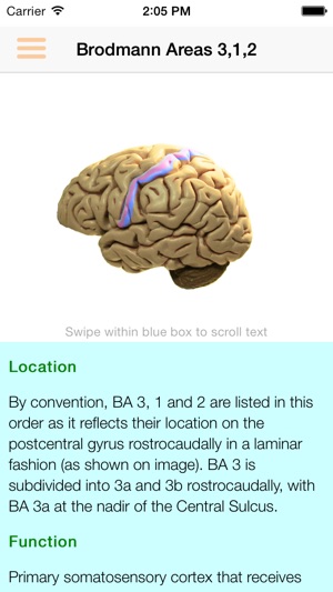 Brodmann 3D Lite(圖3)-速報App