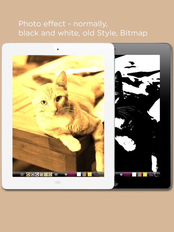 FOTO notes Free for iPad screenshot-3