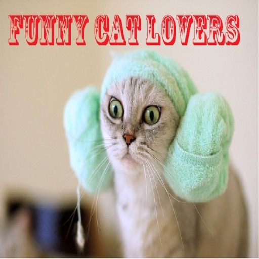 Funny Cat Lovers icon