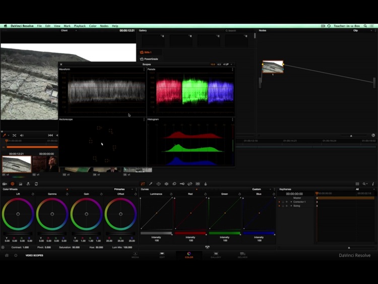 color grading davinci resolve italiano