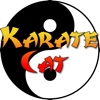 Karate Cat