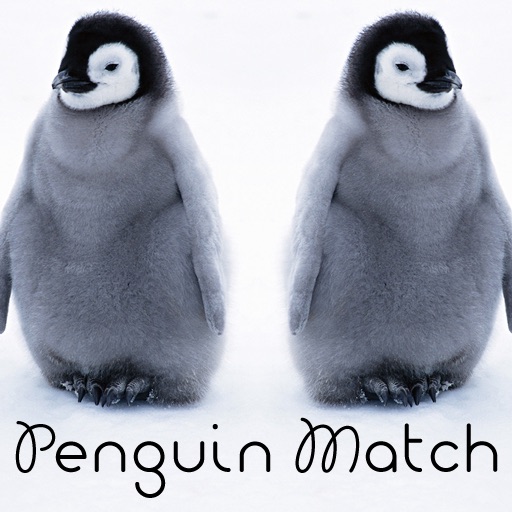 Penguin Match