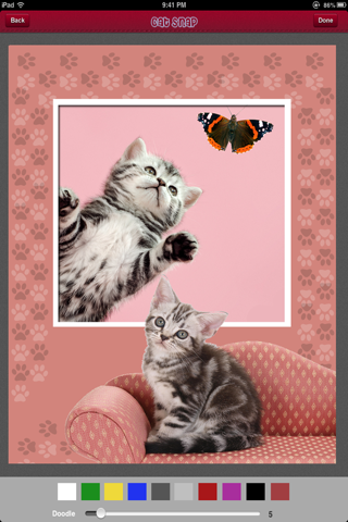 Cat Snap - Photo Bomb Funny Cats Instantly Into Your Photos With Kitty Collage & Picture Frames Free screenshot 2