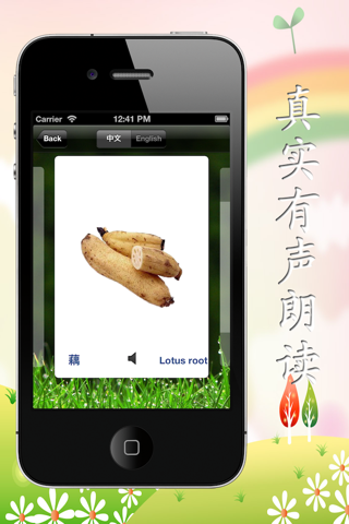 宝贝卡片系列（蔬菜篇） screenshot 4