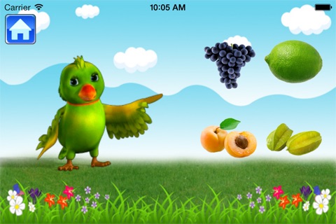 Teaching Parrot screenshot 3