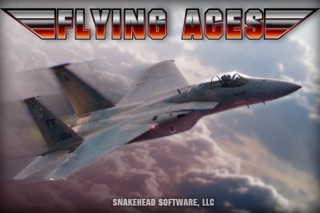 Flying Aces Screenshot 1