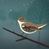 • The Nightingale – Hans Christian Anderson Interactive Book App for Kids
