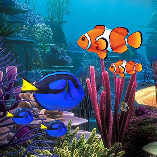 Aquarium Builder iOS App