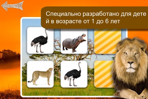Memo Game Wild Animals Photo screenshot 2