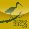 Brazilian Birds – Amazon Forest Lite – PLANETA SUSTENTÁVEL
