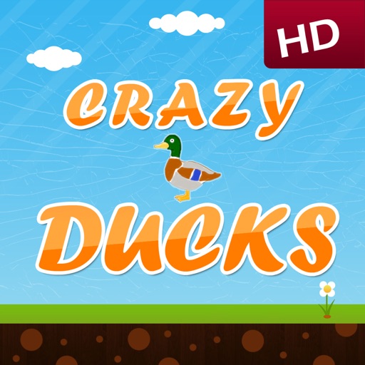 Crazy Ducks HD Icon