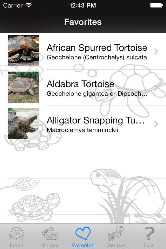 My Favorite Tortoise screenshot 2