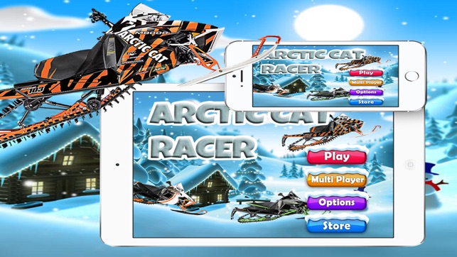 Arctic Cat Racer(圖1)-速報App