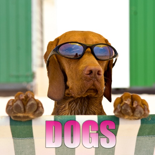 Dogs Puzzle HD Icon