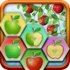 Apple Fruit Farm Puzzle:  Tap match board game - Free Version